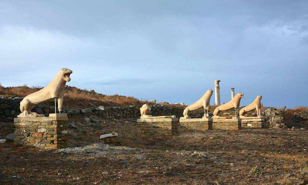 The Lions of Delos in the pilot site of the ARGUS project